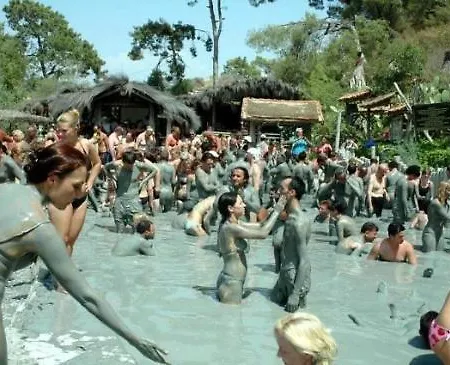 43 Seaside 빌라 *